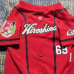 わんこカープユニフォーム2019(ビジターユニフォーム)簡単作成方法教えます