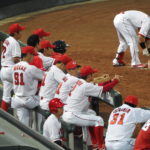 もし昨季カープベンチに新井貴浩がいたら優勝していた!?