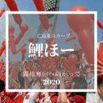 【カープ久しぶりカード勝ち越し】安定感抜群続く野村投手につきる試合 -ヒーローインタビュー全文-